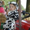 optocht_7969